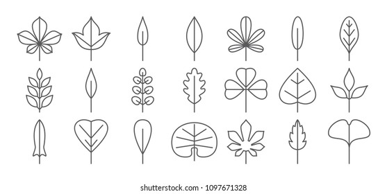 Leaf line icon. Foliage thin simple outline. Contour sign collection