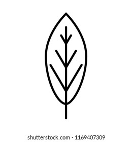 Leaf line icon isolated on white background. Outline thin natural foliage environment vector.