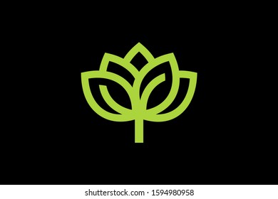 a leaf line for the icon or logo design concept ready to use