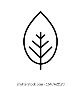 Leaf line icon, logo isolated on white background