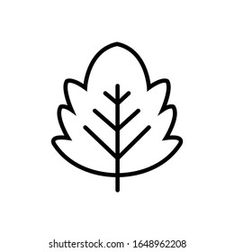Leaf line icon, logo isolated on white background