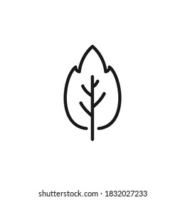 Leaf line icon. Nature symbol concept isolated on white background. Vector illustration