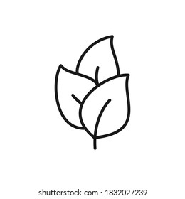 Leaf line icon. Nature symbol concept isolated on white background. Vector illustration