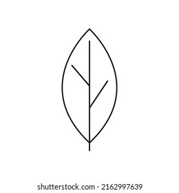 Leaf line icon on white background.