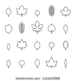 leaf line icon set