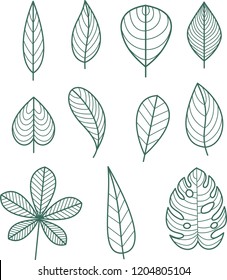 leaf line icon set