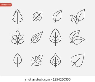 Leaf line icon set