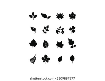 leaf line icon set. black leaf icons set on white background. Leaf Icons Set on White Background. Solid black icon set of Leaf. Pixel perfect icons