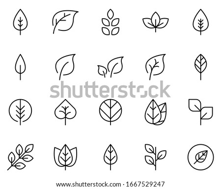 Leaf line icon set. Collection of vector symbol in trendy flat style on white background. Leaf sings for design.