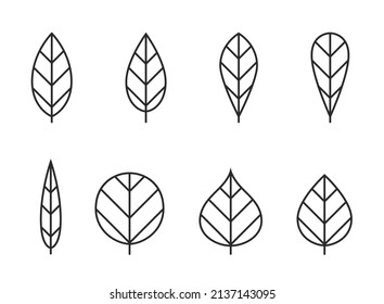 leaf line icon set. eco, botanical, nature and environment symbols. isolated vector images