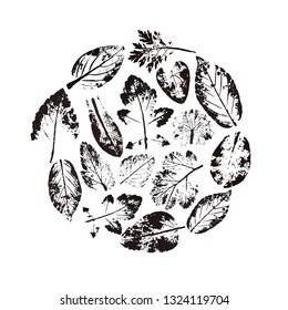 Leaf line icon set. Fertility and growth symbol, fresh natural beauty design element, youth and care. Leaf outline art illustration isolated on white background.