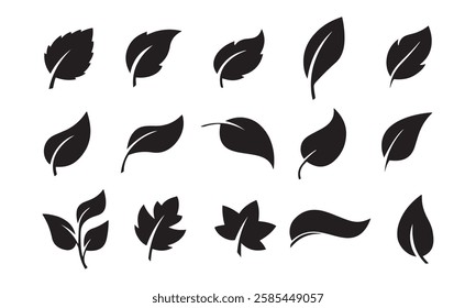 Leaf line icon set. Fertility and growth symbol, fresh natural beauty design element, youth and care. Leaf outline art illustration isolated on white background.