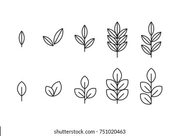 Leaf line icon set. Fertility and growth symbol, fresh natural beauty design element, youth and care. Leaf outline art illustration isolated on white background.