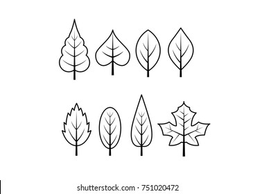 Leaf line icon set. Fertility and growth symbol, fresh natural beauty design element, youth and care. Leaf outline art illustration isolated on white background.