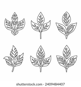 leaf line icon set isolated on white background