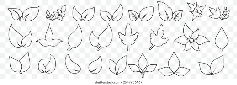 Conjunto de iconos de línea de hoja. Deja un conjunto de iconos de línea delgada. Colección de símbolos en fondo transparente. Trazo de Vector editable sobre fondo transparente. EPS 10.