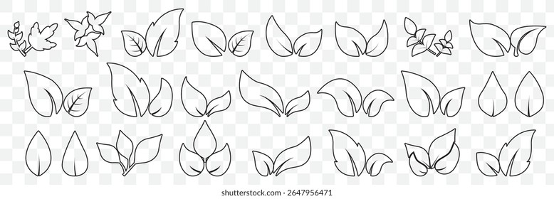 leaf line icon set. Leaves thin line icon set. Symbol collection in transparent background. Editable vector stroke On transparent Background. EPS 10.