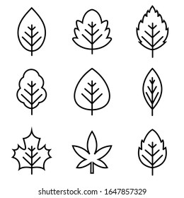 Leaf line icon set, logo isolated on white background