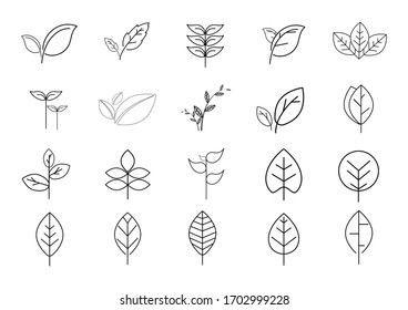 Icono de línea de hoja set.leaf logo en concepto de naturaleza de fondo blanco.vector