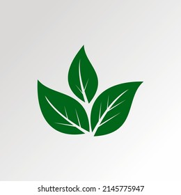 Leaf line icon vector design template and illustration with editable stroke. Vector Tracing Wrench icon. Can be used as Logo, Brands, Mascots, Symbol and Tattoo