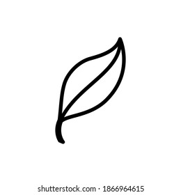 leaf line icon vector illustration design