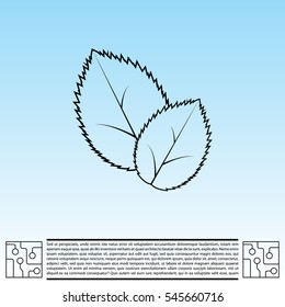 Leaf line icon, vector illustration.