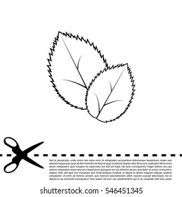 Leaf line icon, vector illustration.