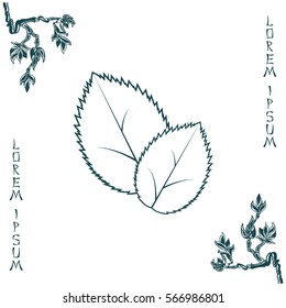 Leaf line icon, vector illustration.
