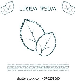 Leaf line icon, vector illustration.