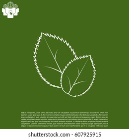 Leaf line icon, vector illustration.