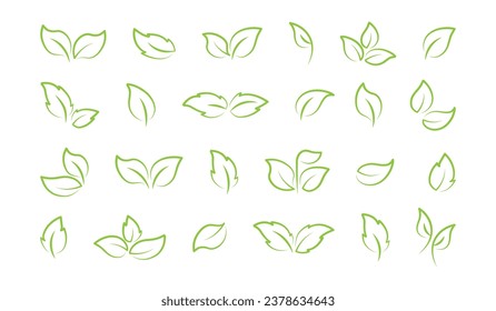 Leaf line icon, vegan plant, fresh organic set, leaves tree, eco food, linear branch, sketch sprout, green foliage. Nature vector illustration isolated on white background