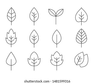 Leaf Line Icons. Minimalist Modern Plant Design Eco Tree Nature Logo Abstract Geometric Leaves. Vector Eco Leaf Logo Set