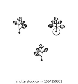 Leaf line icons minimalist modern plant design