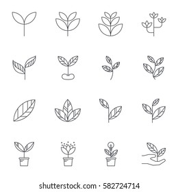 Leaf  line icons, Vector illustration.
