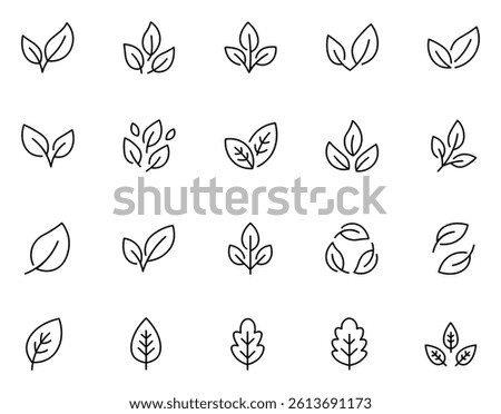 Leaf line icons. Vector illustration include icon - botany, herbal, ecology, bio, organic, fresh, nature outline. Vector illustration.