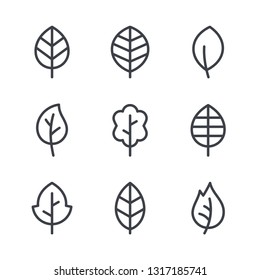 Leaf line icons, vector leaves logo design