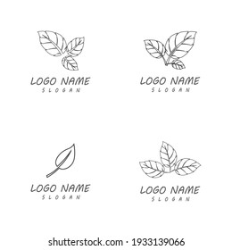 Leaf line icons vector leaves logo design