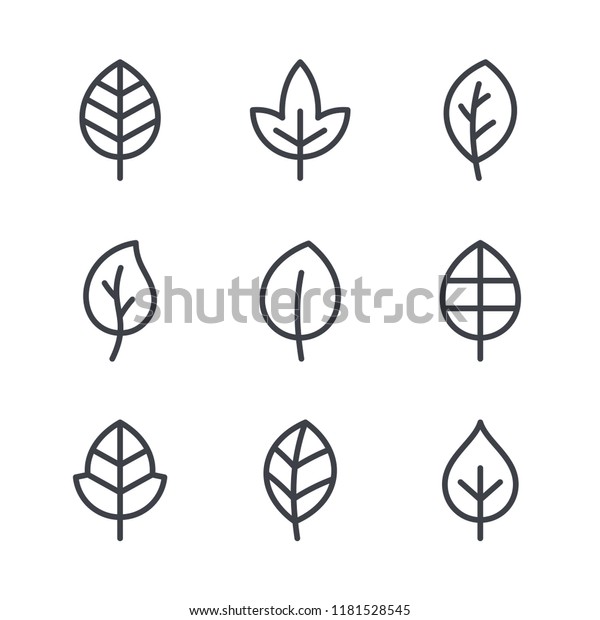 Leaf Line Icons Vector Leaves Logo Stock Vector (Royalty Free ...