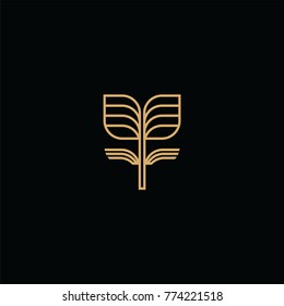 leaf line logo symbol. flat gold icon on black background