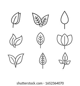 Leaf line logo vector template illustration