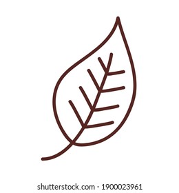 leaf line style icon design of Plant natural floral theme Vector illustration