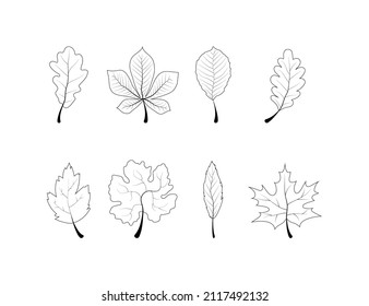 Leaf line vector icon. Leaves vector icons set. Vector illustration