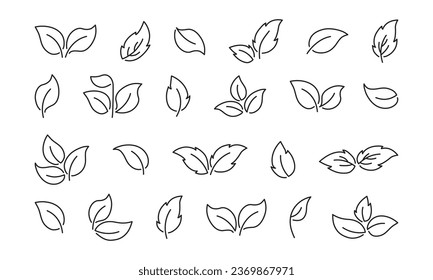 Leaf line vector icon, vegan plant, fresh organic set, leaves tree, eco food, linear branch, sketch sprout, black foliage. Editable stroke. Nature illustration isolated on white background