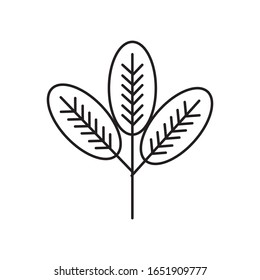 diseño de iconos vectoriales de línea hoja en fondo blanco