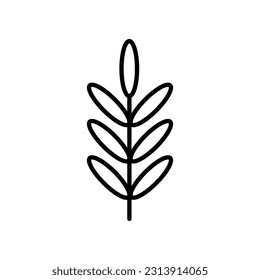 Vector de símbolos de icono lineal de hoja. Icono de la hoja de contorno negro