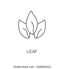 Leaf linear icon. Leaf concept stroke symbol design. Thin graphic elements vector illustration, outline pattern on a white background, eps 10.