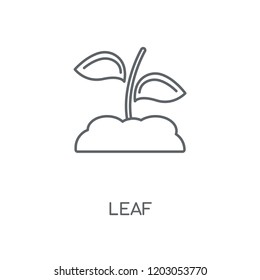 Leaf linear icon. Leaf concept stroke symbol design. Thin graphic elements vector illustration, outline pattern on a white background, eps 10.
