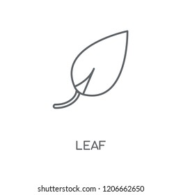 Leaf linear icon. Leaf concept stroke symbol design. Thin graphic elements vector illustration, outline pattern on a white background, eps 10.