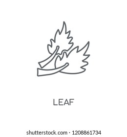 Leaf linear icon. Leaf concept stroke symbol design. Thin graphic elements vector illustration, outline pattern on a white background, eps 10.