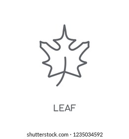 Leaf linear icon. Modern outline Leaf logo concept on white background from Ecology collection. Suitable for use on web apps, mobile apps and print media.